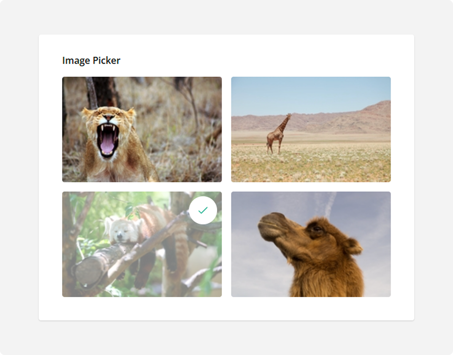 SurveyJS Question types - Image Picker